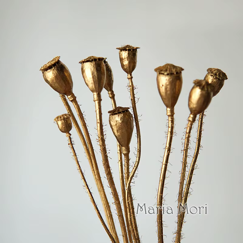 10 pièces/fleurs conservées maïs coquelicot fruits décoration de la maison bricolage matériel colle cristal bougies faites à la main fleurs époxy or argent