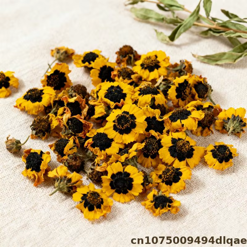 Bourgeons de chrysanthème de neige séchés de qualité supérieure à 100 % | Fabrication de savons et de bougies | Mélange