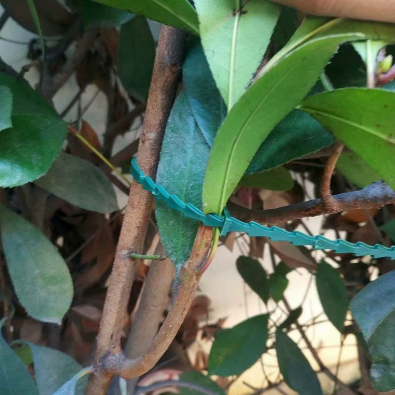 50 attaches de fixation réglables en plastique réutilisables pour plantes