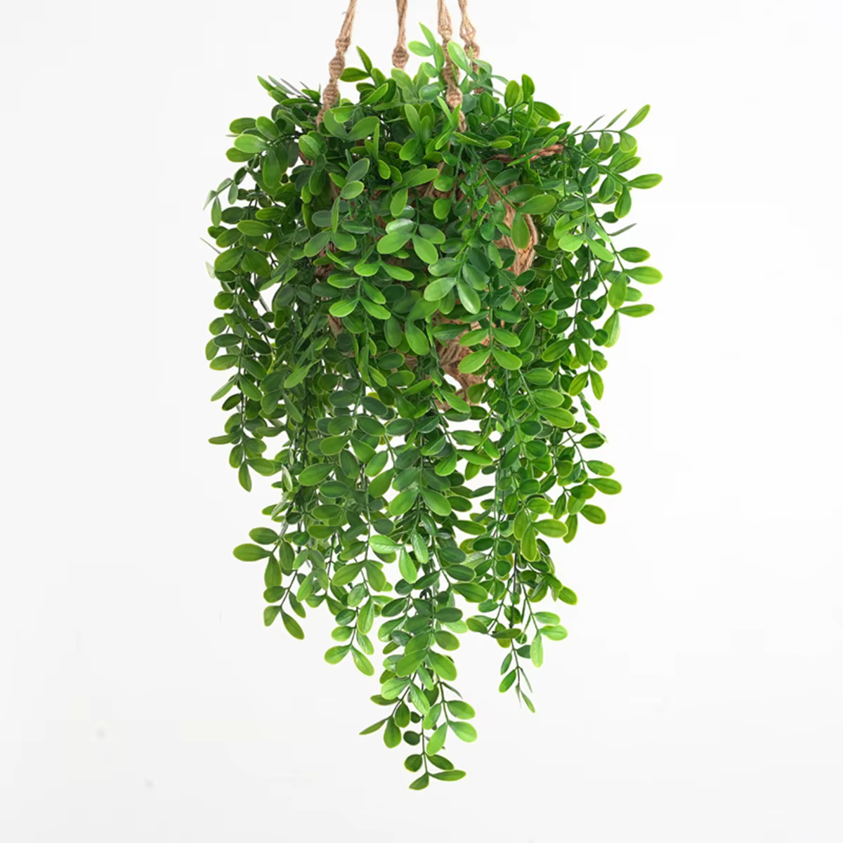Plantes de lierre artificielles