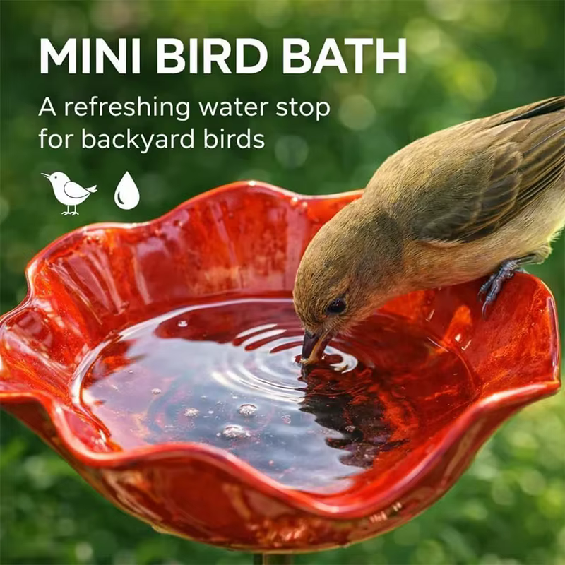 Bain d'oiseaux en forme de fleur