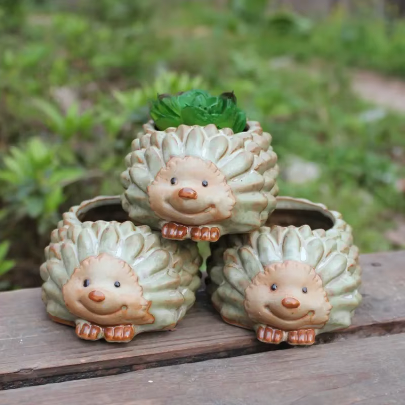 Pot de plantes succulentes en céramique