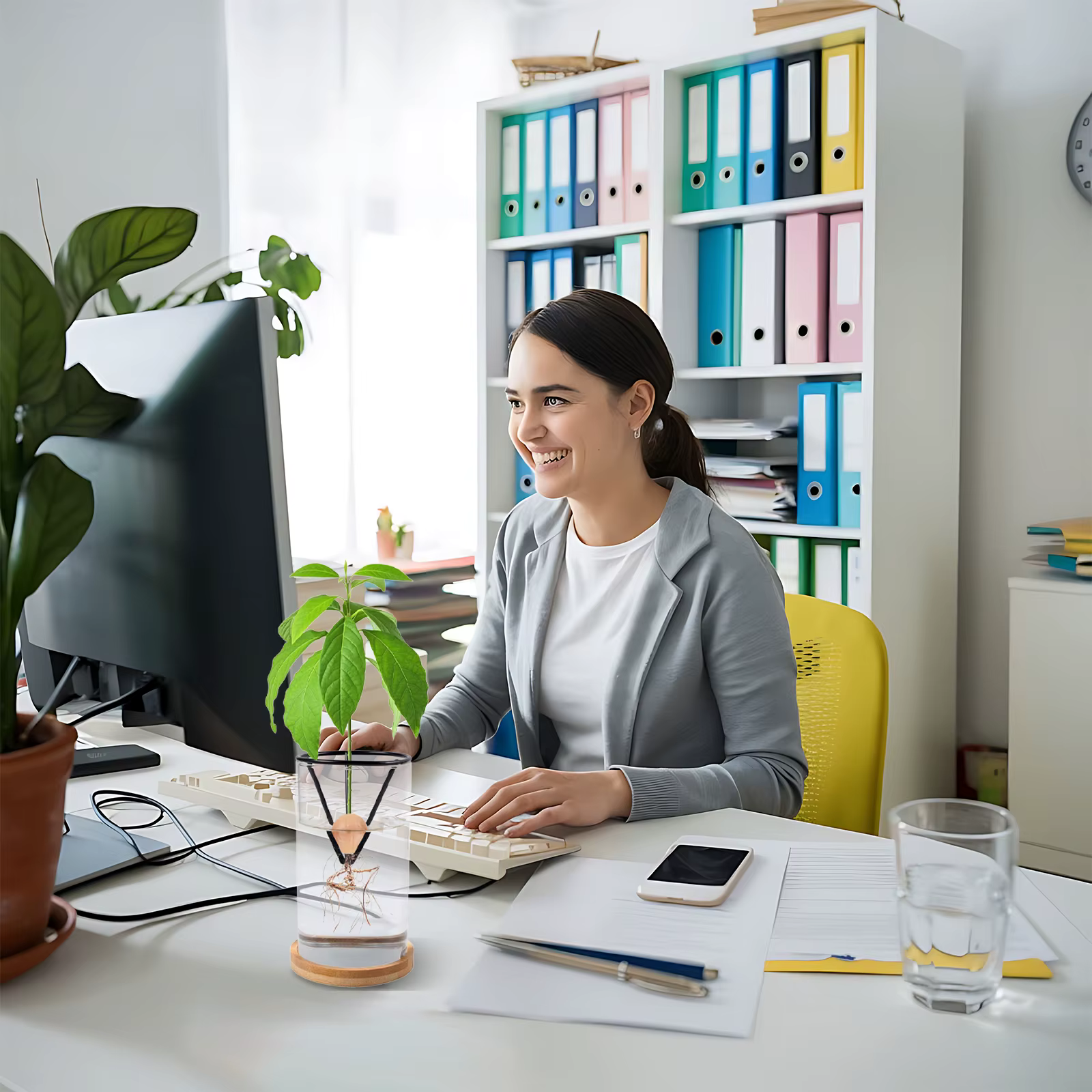 Germinateur d'avocat avec supports en métal conique
