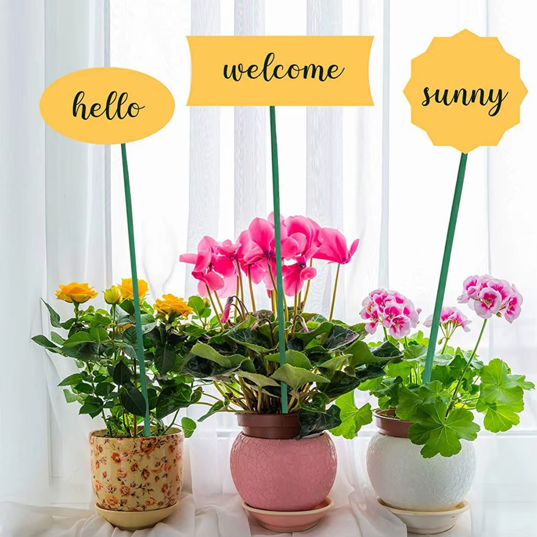Bâtons de support pour plantes vertes