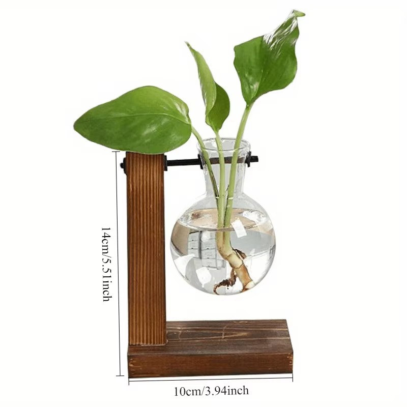 Vases à plantes hydroponiques