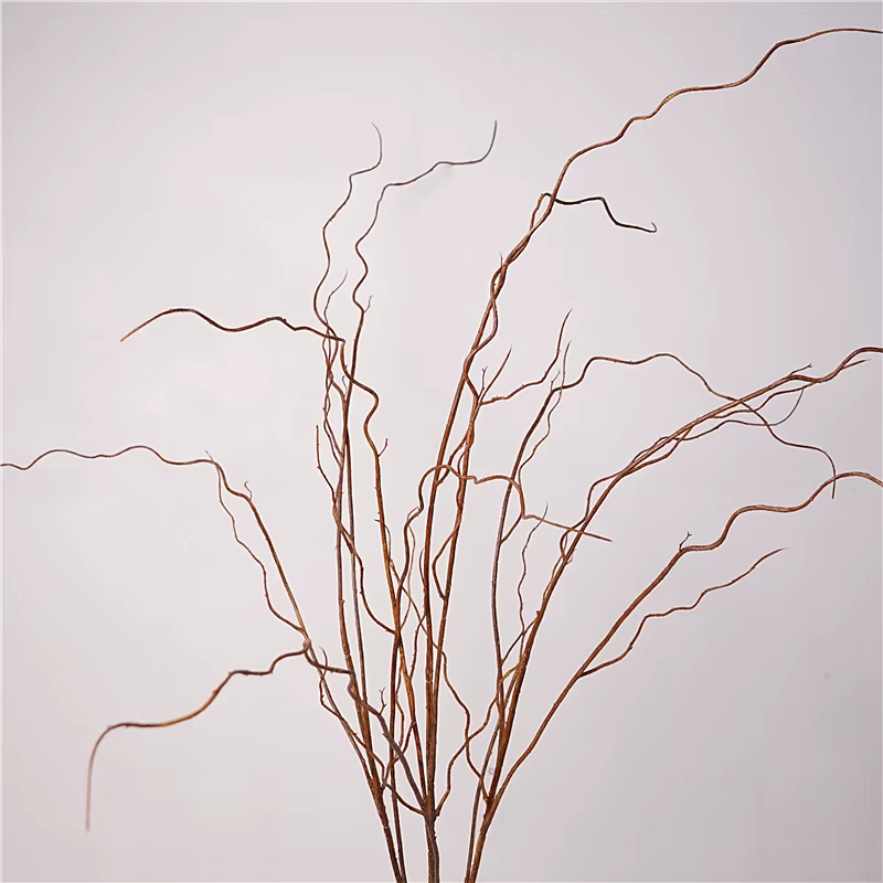 Simulation de Branches vaccées