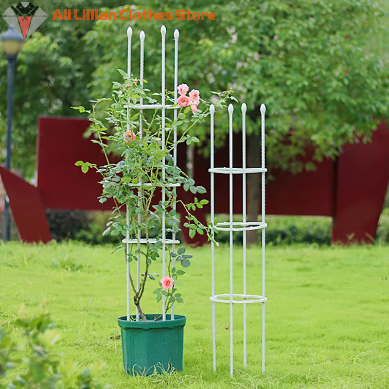 Cages de Support pour Plantes Grimpantes
