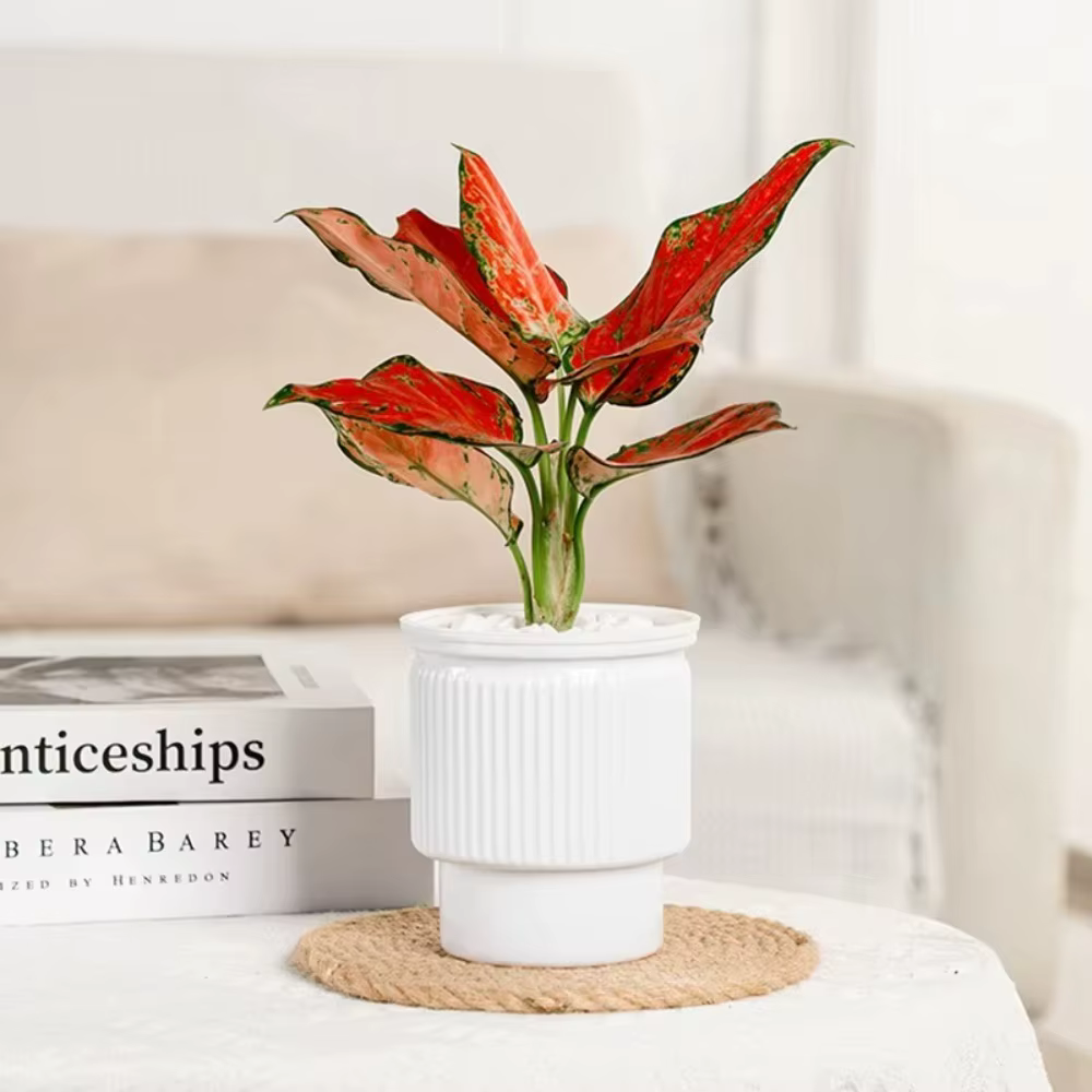 Pot de plantes hydroponiques auto-arrosant de luxe léger