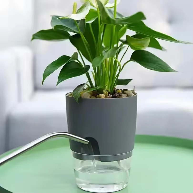Pots auto-arrosants pour plantes