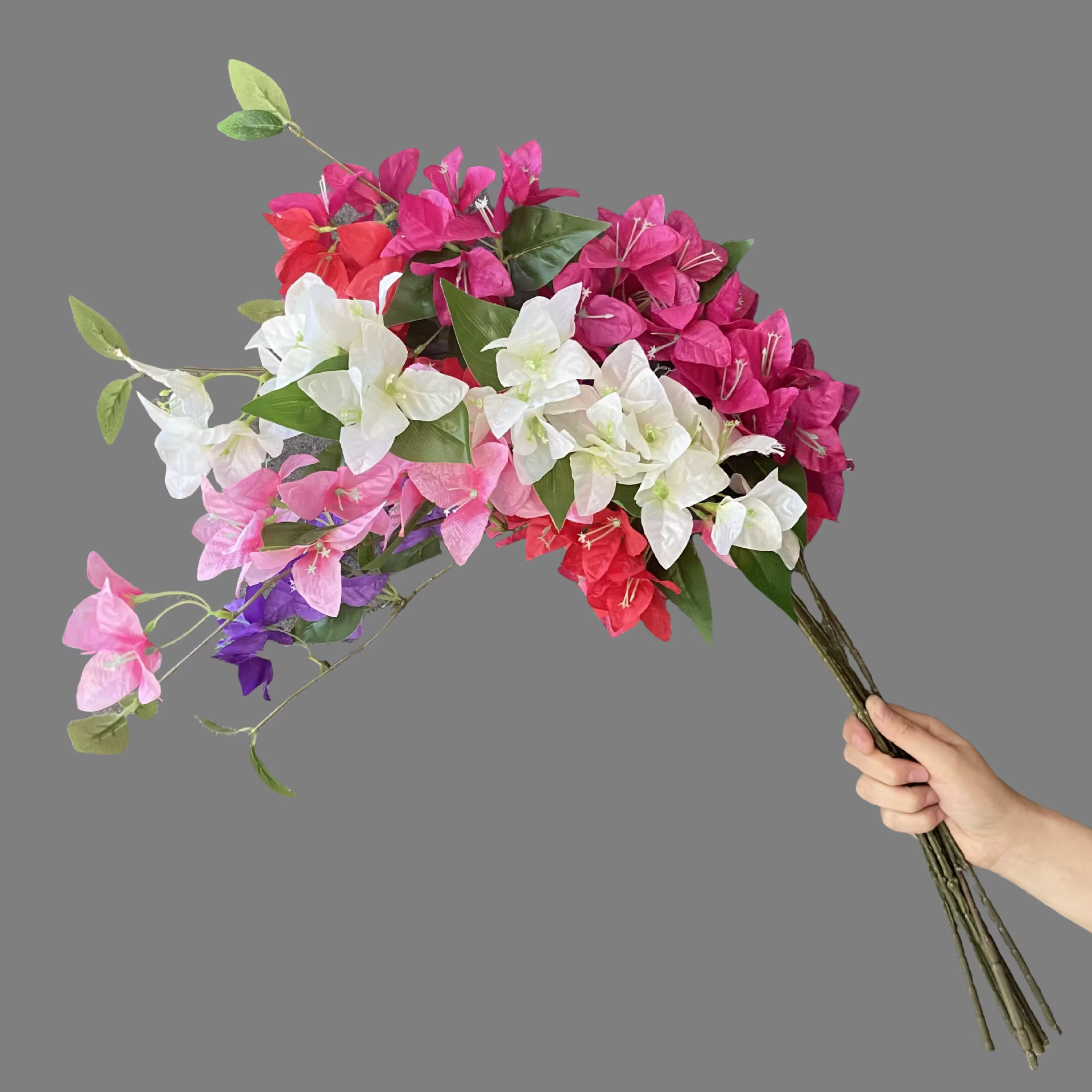 Simulation de Bouquet de bougainville