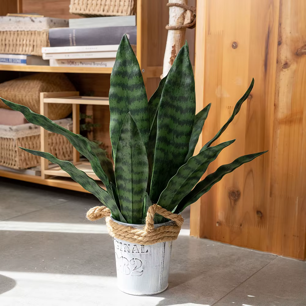Plantes de serpent artificielles 22 "