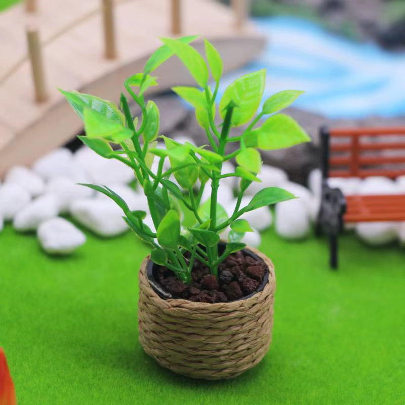 Mini arbre à oranges en pot