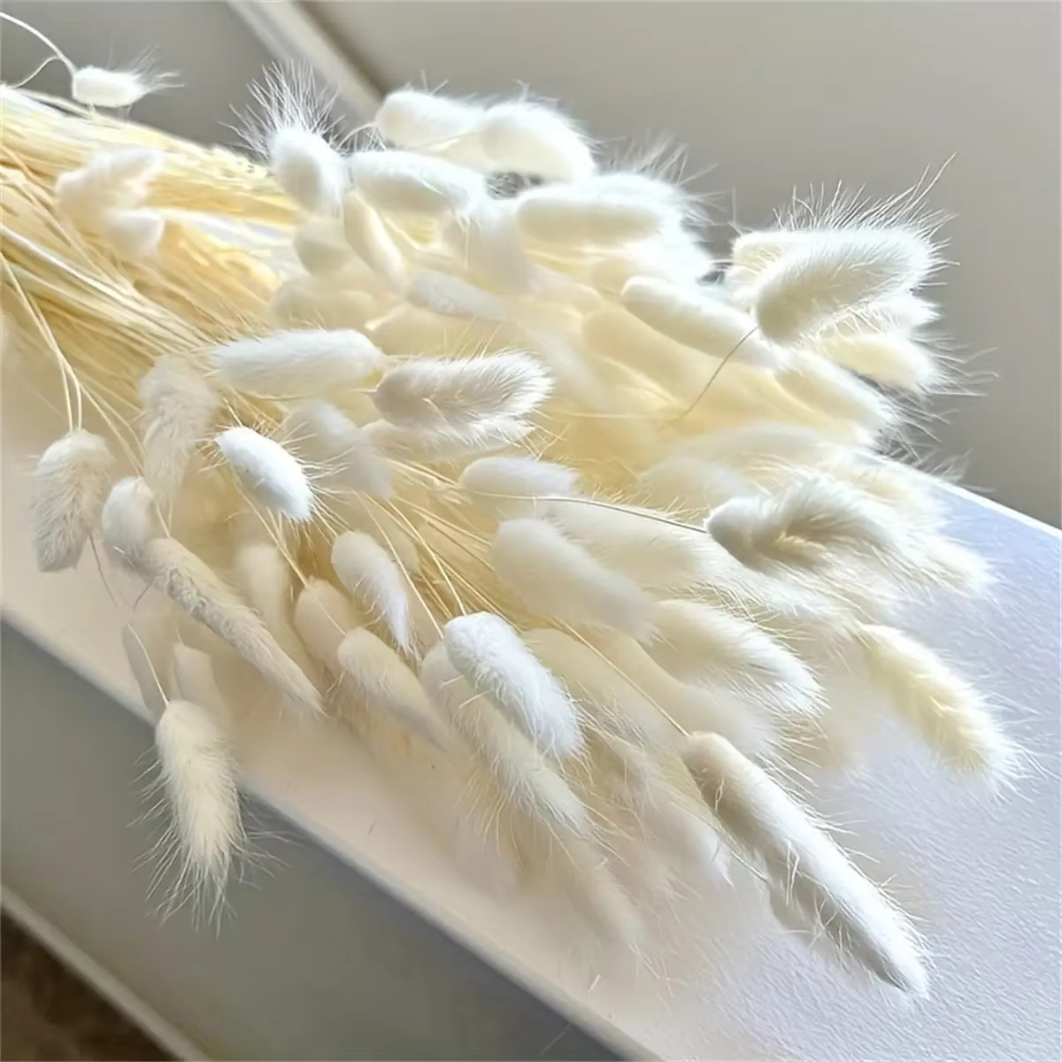Bouquet de fleurs séchées blanches Gypsophila Boho Pampas