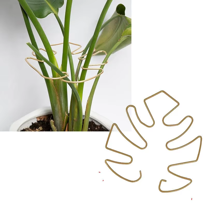 Piquets pour plantes Monstera