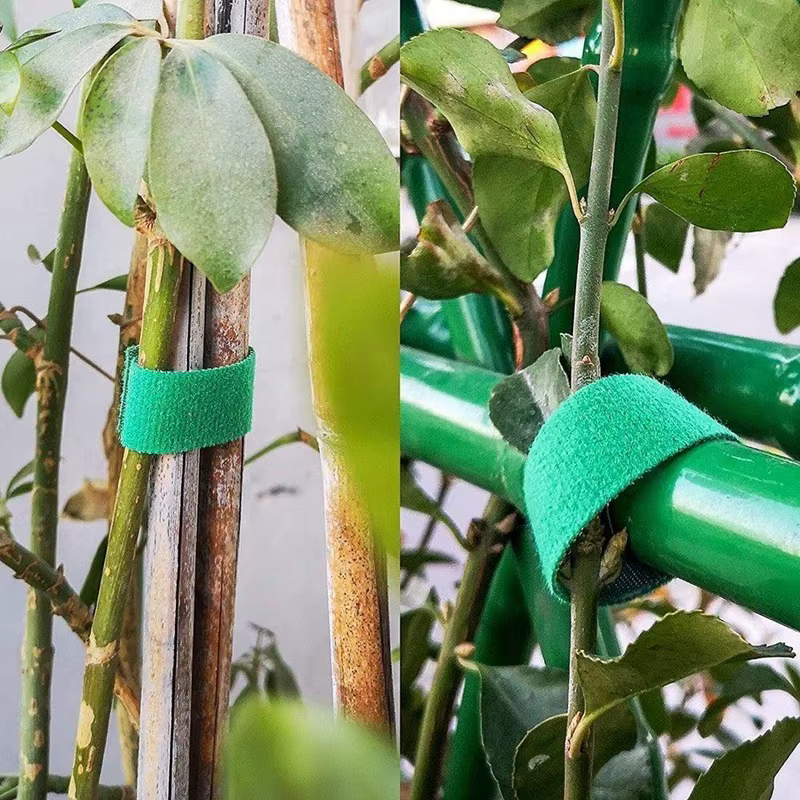10 rouleaux de attaches pour plantes en Nylon