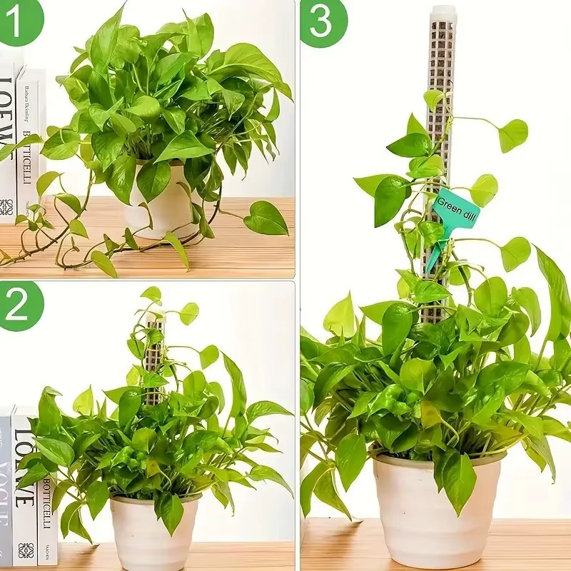 2 piquets en mousse plastique