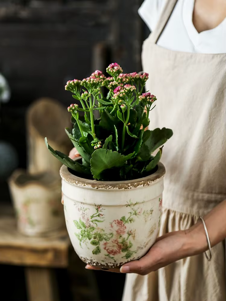 Pot de fleurs en céramique rose vieilli style vintage français pour plantes vertes