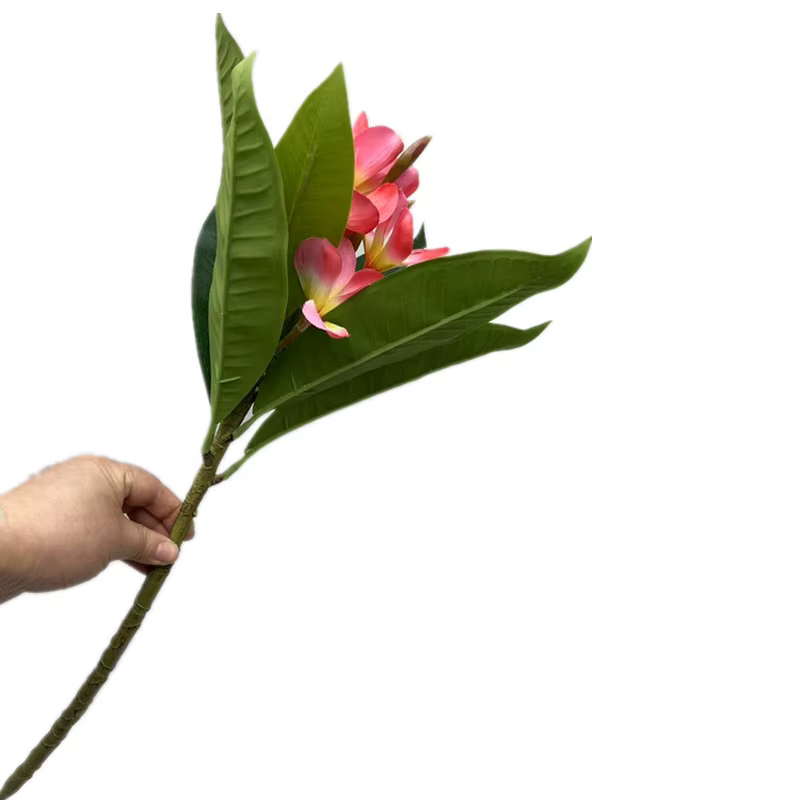 One Plumeria Rubra artificielle avec feuilles vertes au toucher réel