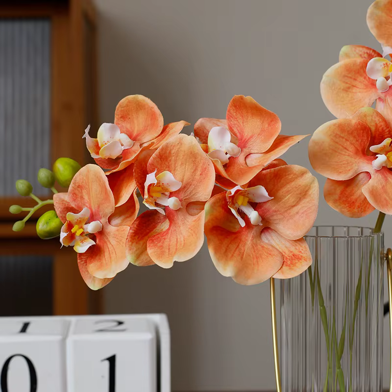 Orchidée papillon au toucher réel