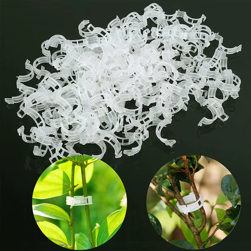 Supports de Clips pour plantes