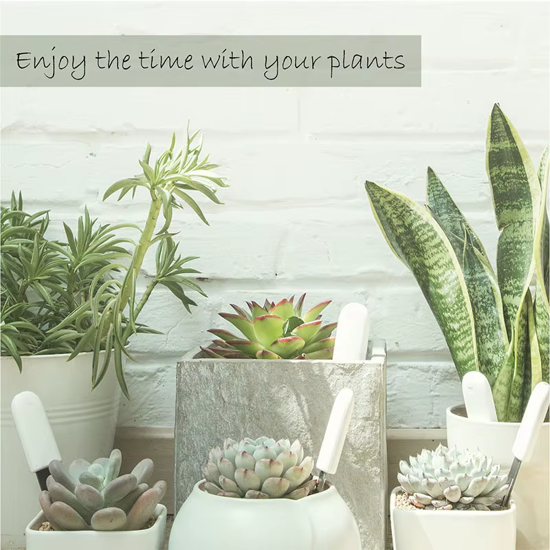 HHCC Flora Monitor Version mondiale fonctionne avec l'application Xiaomi Mijia plantes herbe soins des fleurs testeur d'eau du sol capteur détecteur moniteur