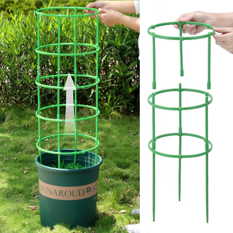 Support d'escalade de vigne verte