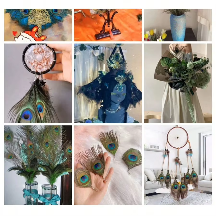 Plumes de paon naturelles 25-30cm