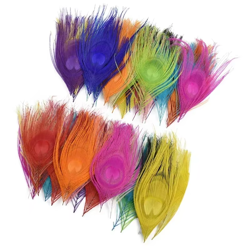Lot de 10 Plumes de Paon Colorées 10-15CM