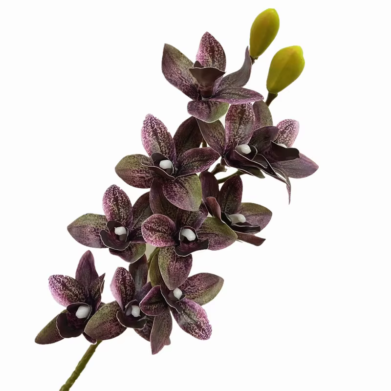 Phalaenopsis Élau toucher réaliste, plante d'orchidée, vanda, cymbidium, tigre