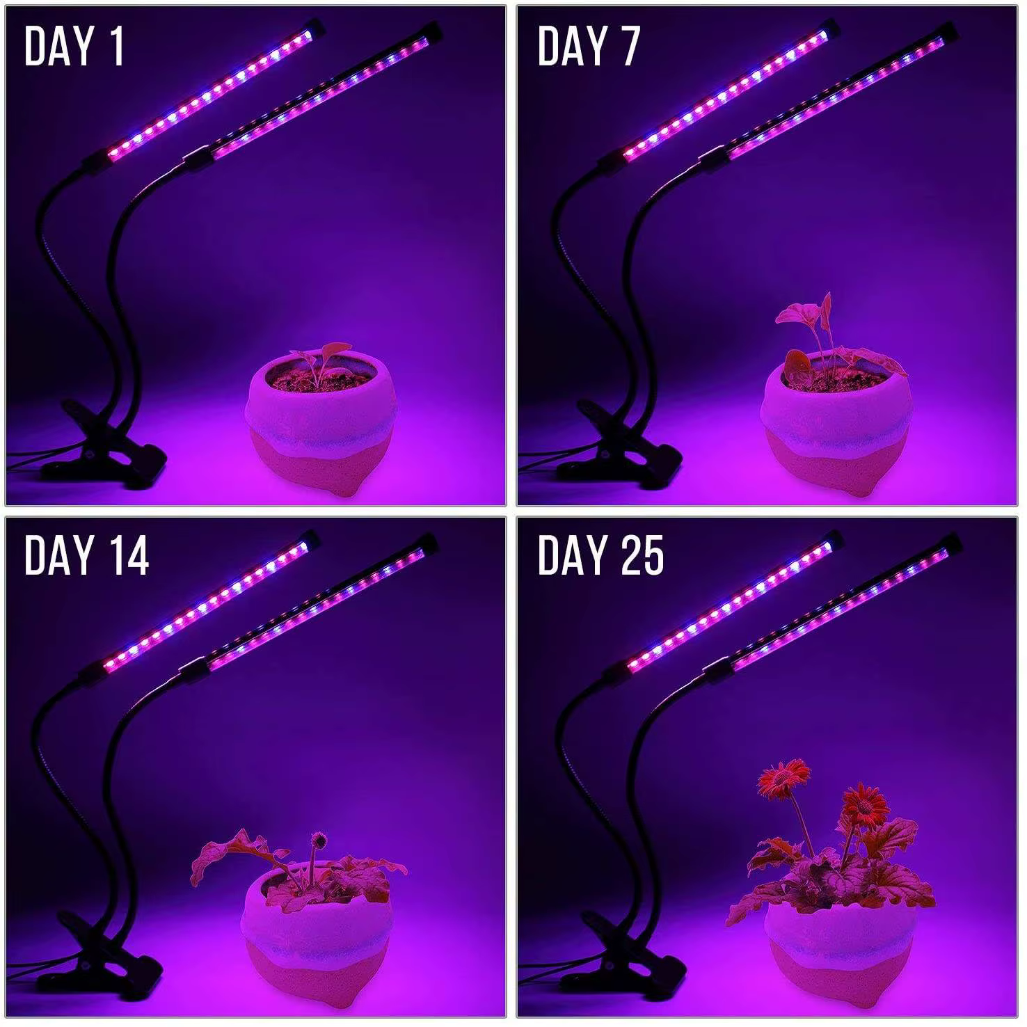 USB LED plante poussent la lumière jardin intérieur 10 niveaux réglables