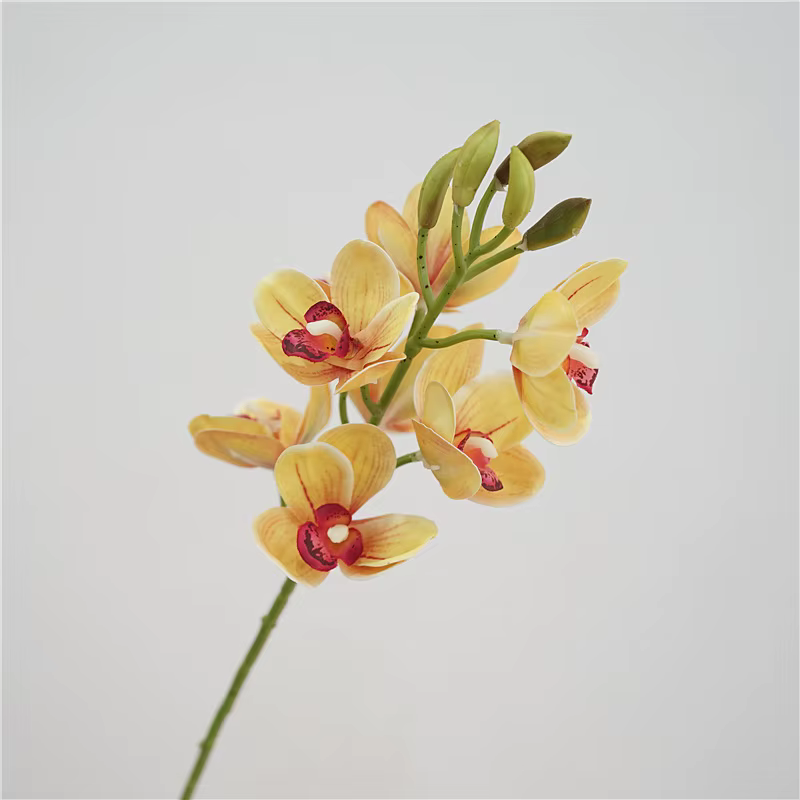 Cymbidium en Latex au Toucher Réel
