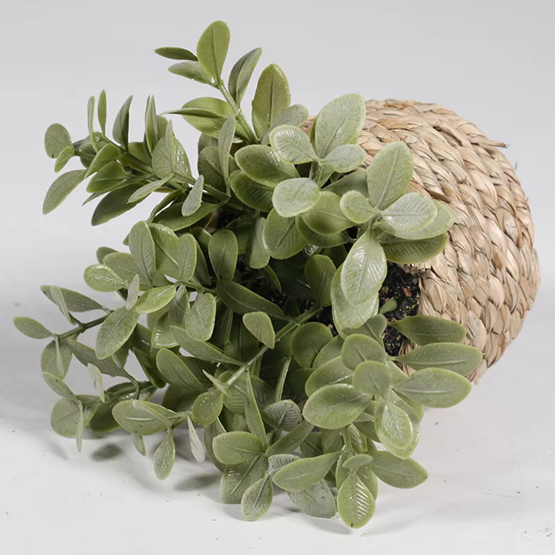Plante artificielle verte en pot
