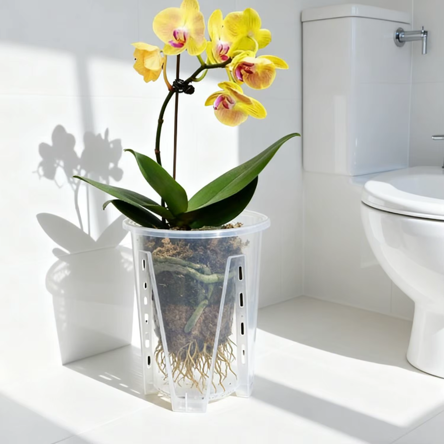 Pots à orchidées transparents en plastique avec trous de drainage pour la plantation d'orchidées papillon