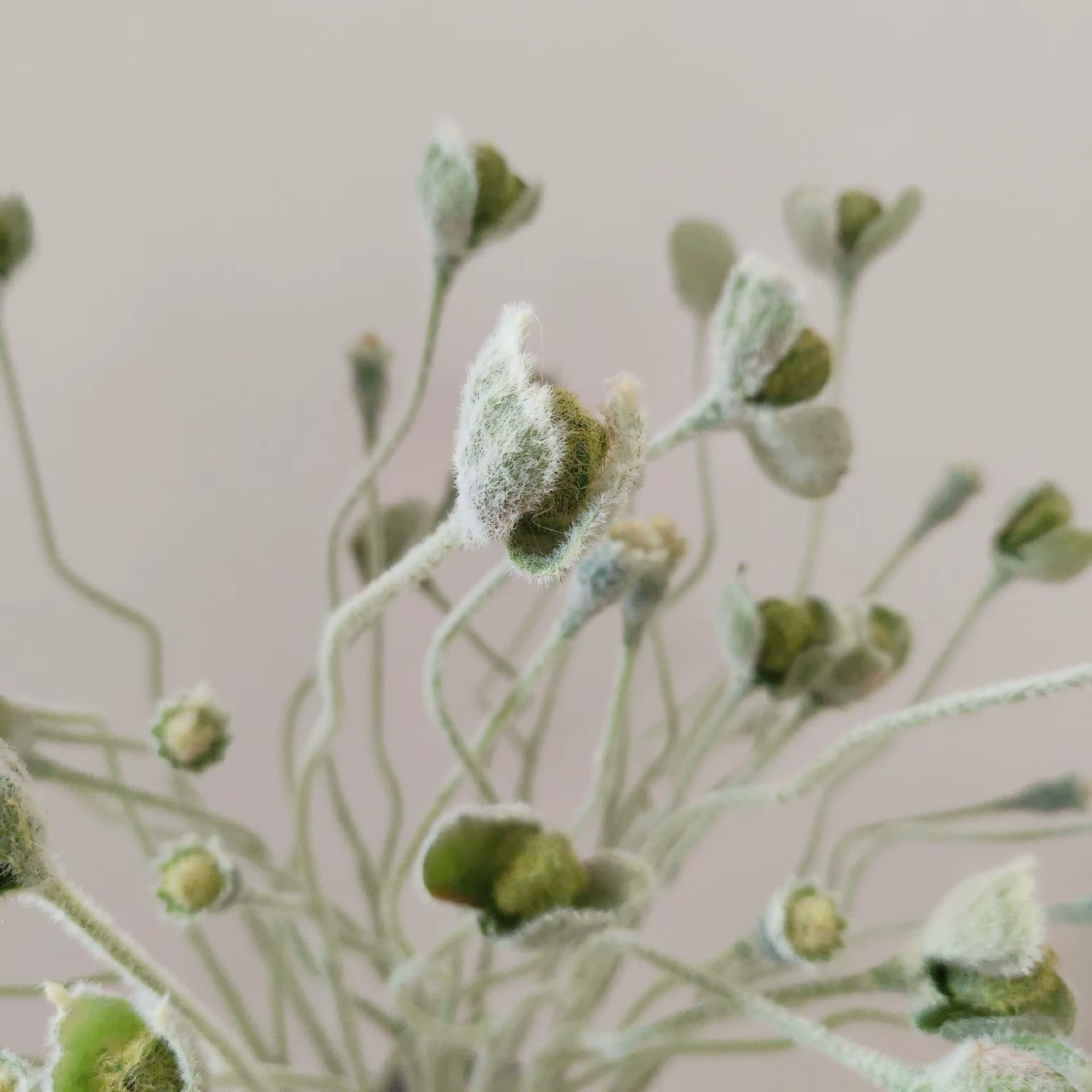 Branche de plantes vertes artificielles