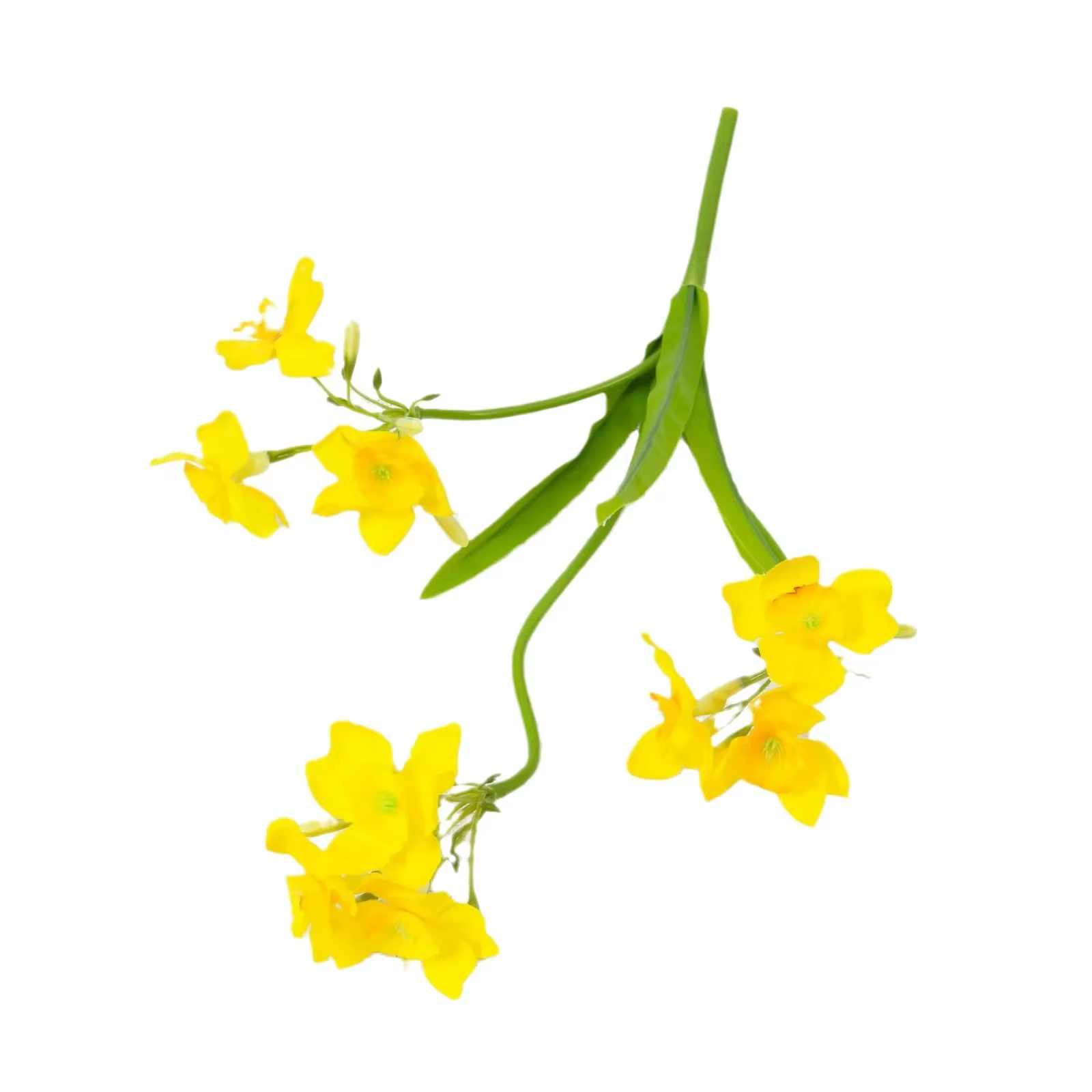 Bouquet de Narcisse Artificiel