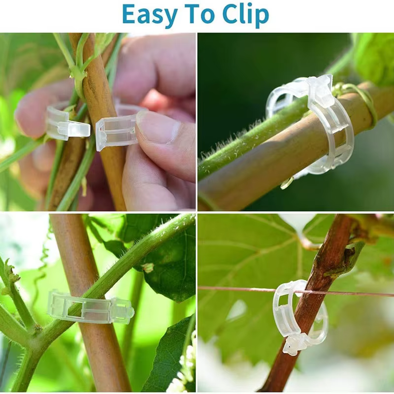 Supports de Clips pour plantes