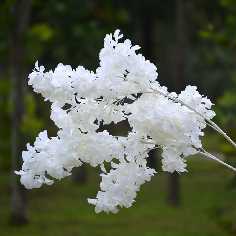 Étoile de ciel couverte de neige sans fleur