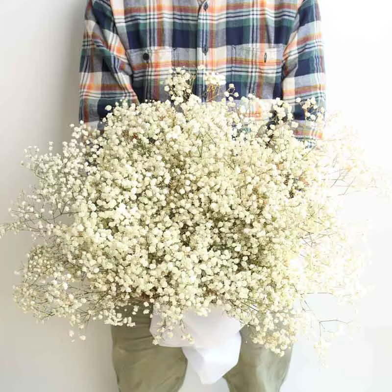 Bouquet de fleurs séchées pour bébé