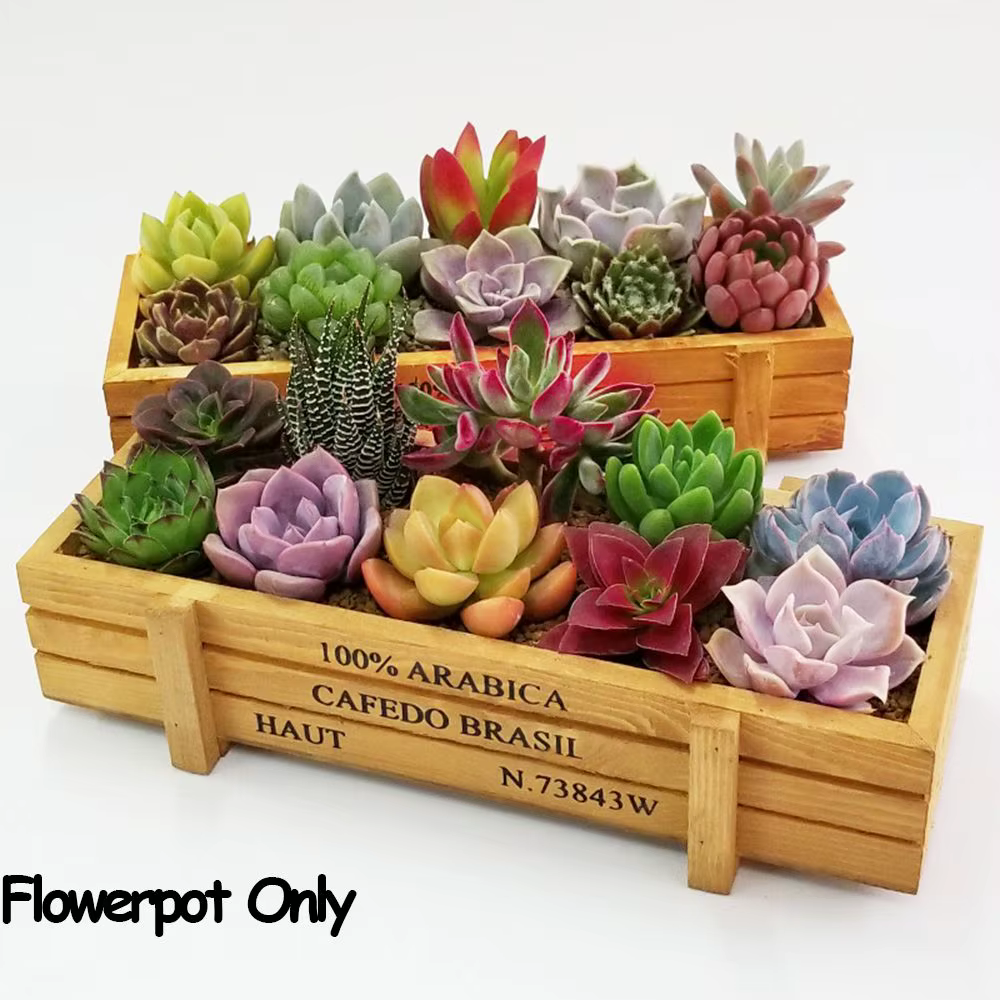 Outils de décoration de jardin