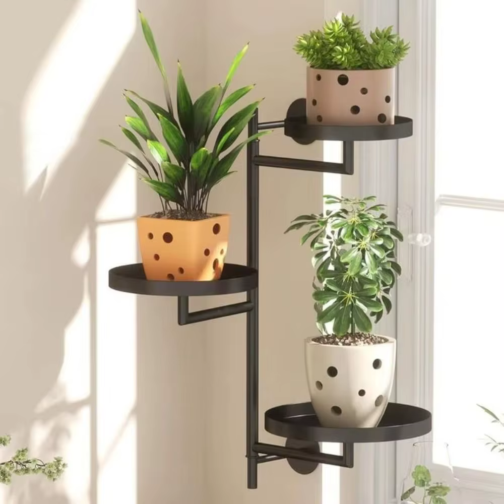 Support de plantes rotatif pour fenêtre