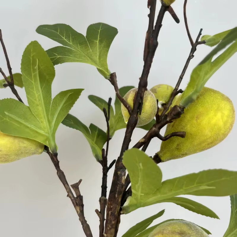 Branche de fausse figue avec fruit