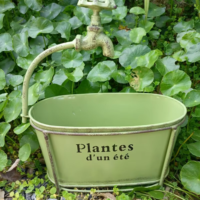 User inière Ovale en Fer pour Plantes de user inage