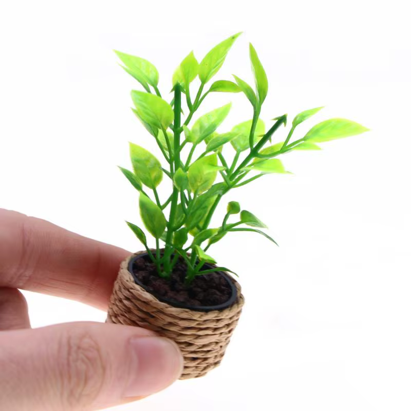 Mini arbre à oranges en pot