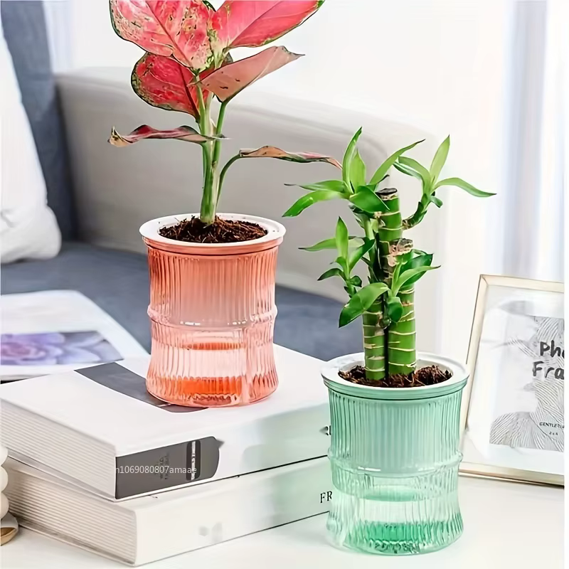 Pot de Fleurs en Plastique Transparent à Double Couche à Absorption d'Eau existent