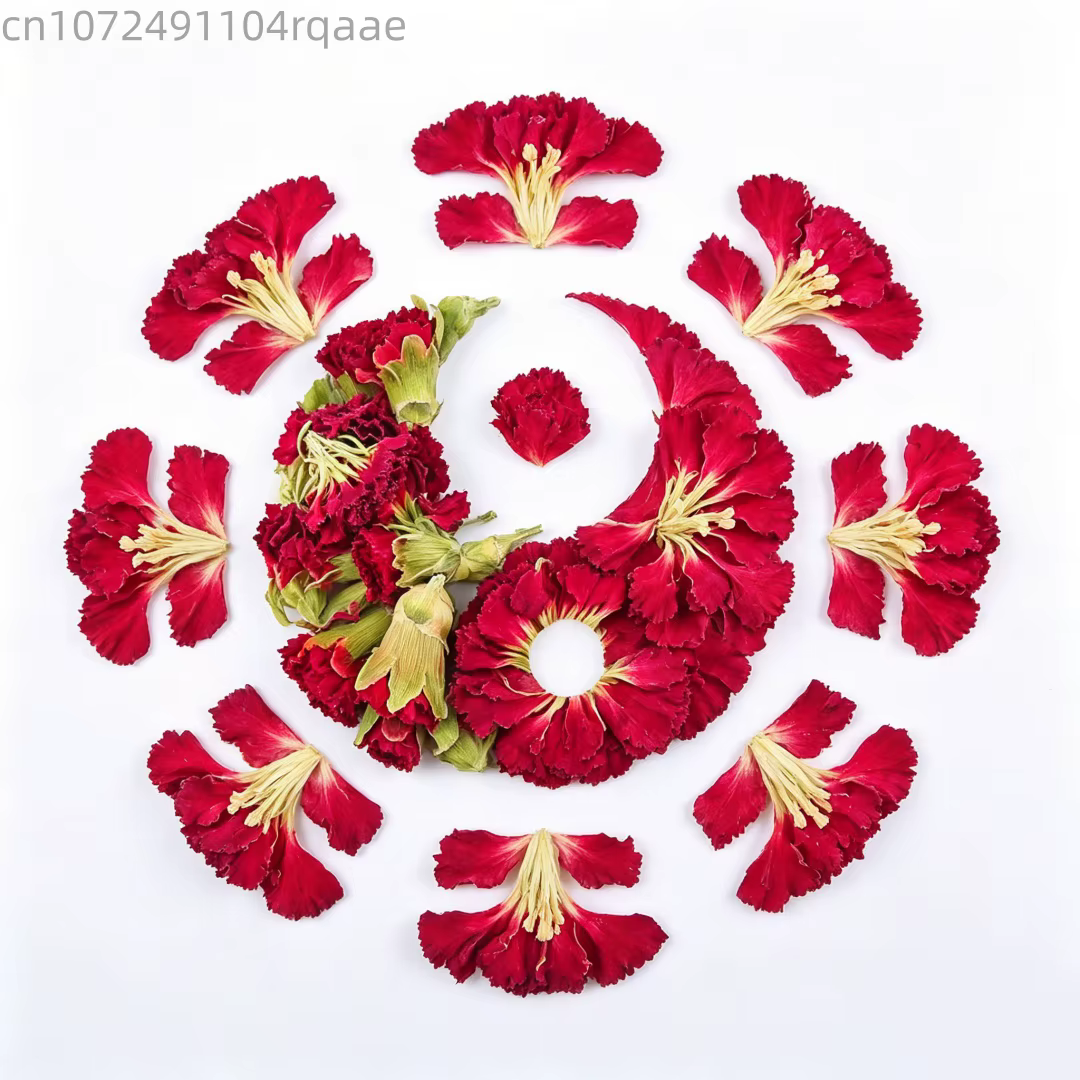 Pétales de carnation naturels séchés de haute qualité pour la fabrication de savons