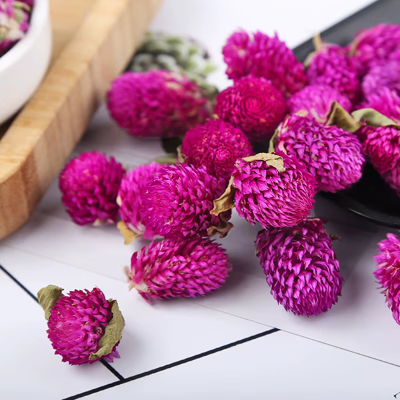Fleurs séchées de Gomphrena naturelles rouge et violet – Décor de haute qualité pour la fabrication de savon