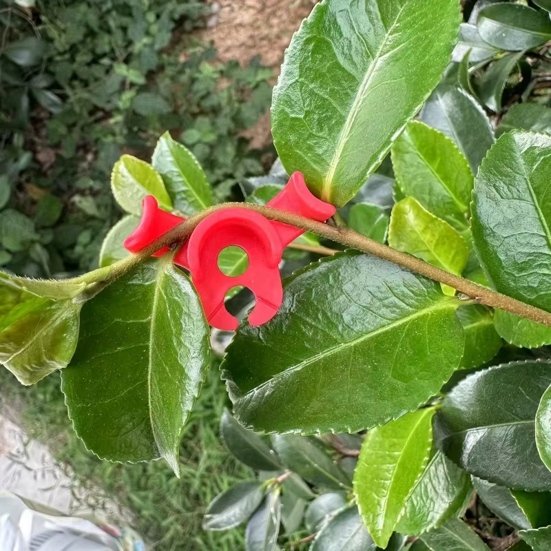 Redresseur de tiges de plantes