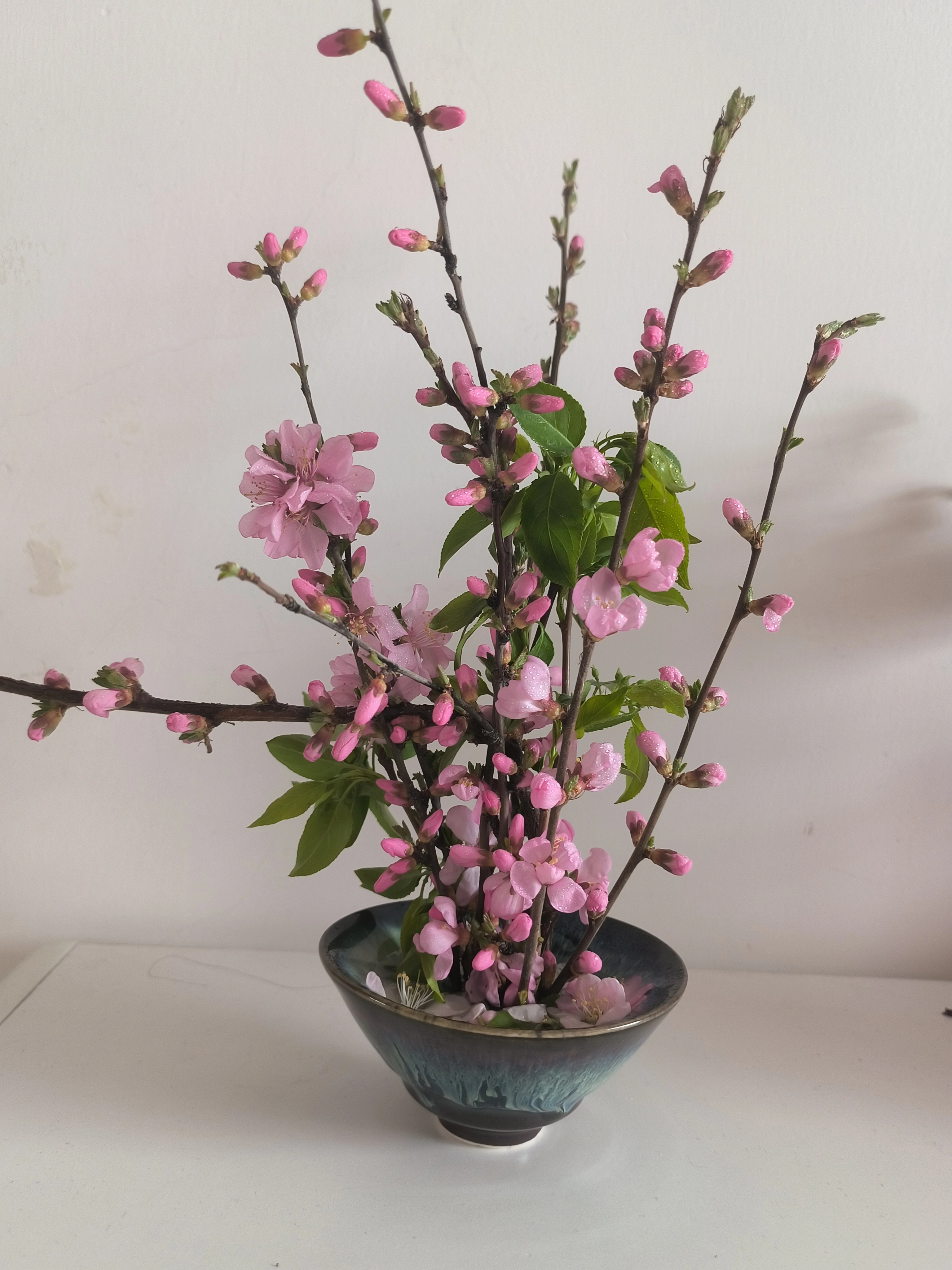 Ikebana Kenzan – porte-fleurs japonais en acier inoxydable