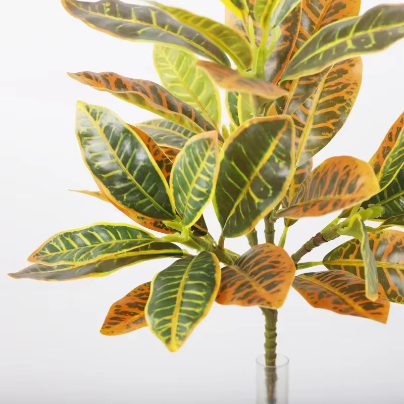 Plantes vertes en bois artificielles changeantes de documents