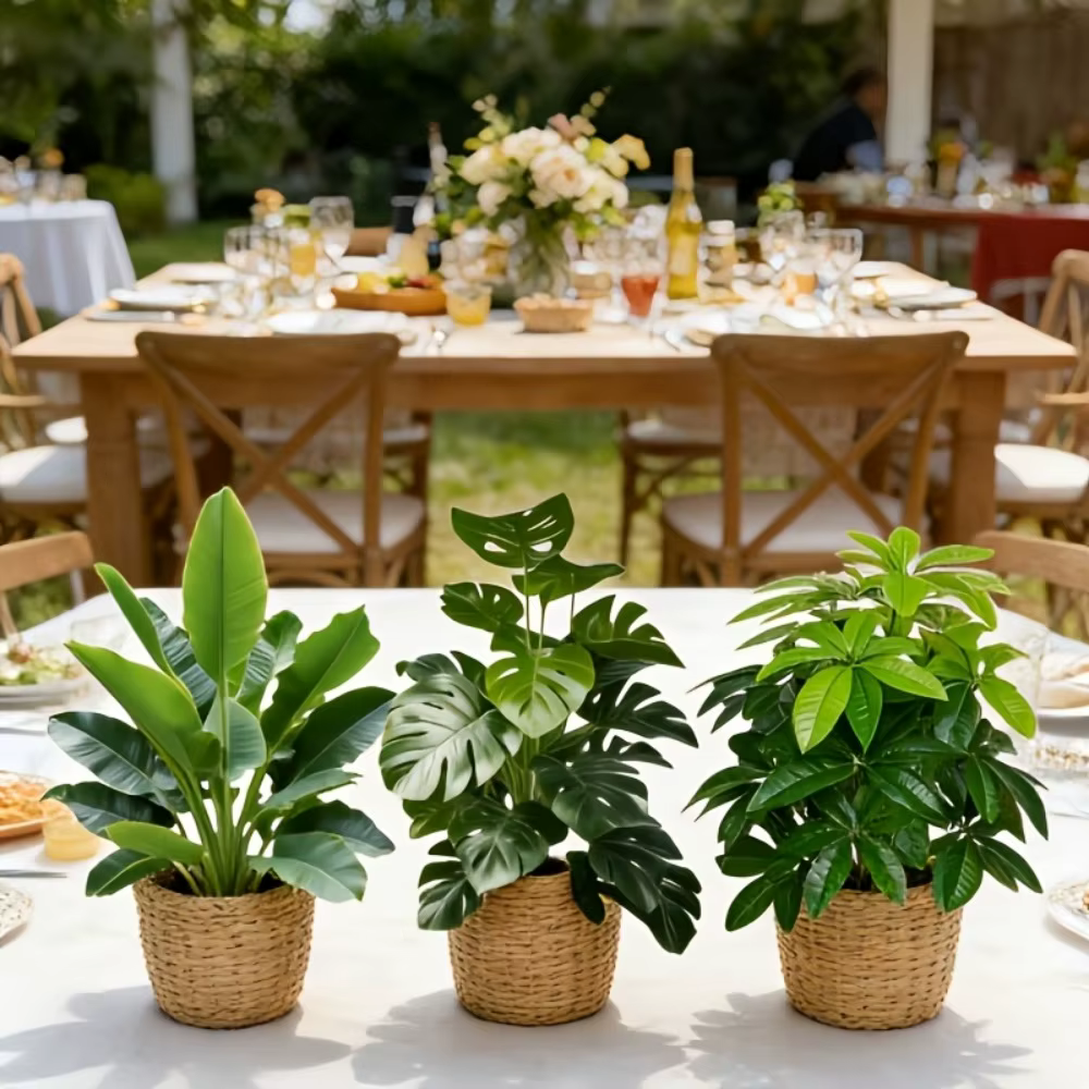 Lot de 3 plantes artificielles : palmier Areca